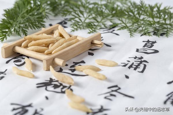 實火當瀉，虛火當補，講六味中藥，送給上熱下寒的你