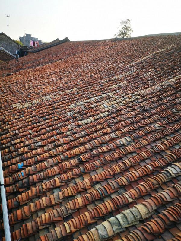 打卡美麗鄉村678