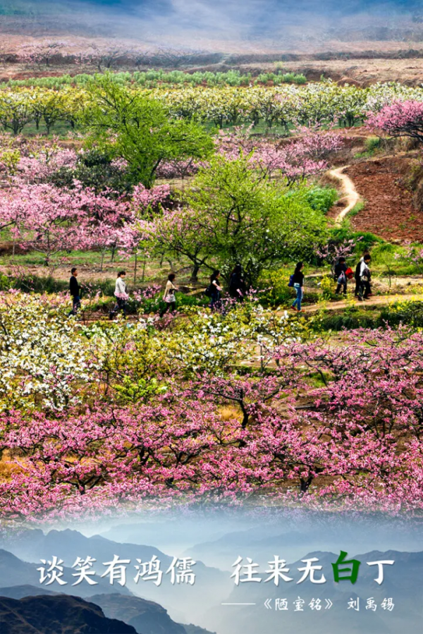 超驚豔！唐詩裡的&OpenCurlyDoubleQuote;青&rdquo; &OpenCurlyDoubleQuote;白&rdquo; &OpenCurlyDoubleQuote;江&rdquo;