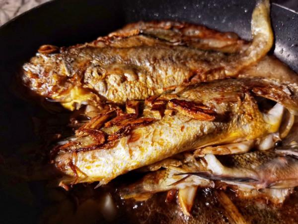 避開人山人海的深圳惠東沙灘,去深汕合作區尋找新的趕海聖地 避開人山人海的深圳惠東沙灘,去深汕合作區尋找新的趕海聖地