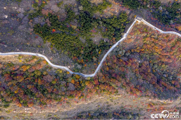 北京：八達嶺長城秋意濃