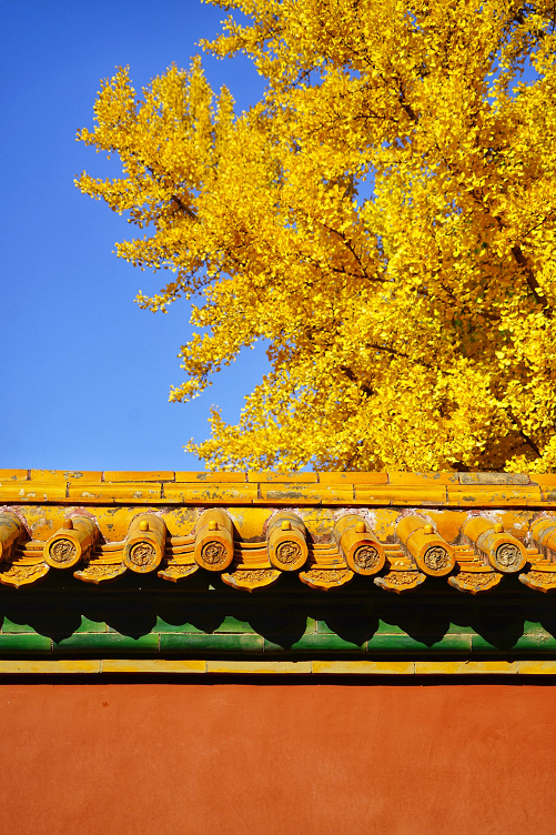 秋韻北京“宮”候多時