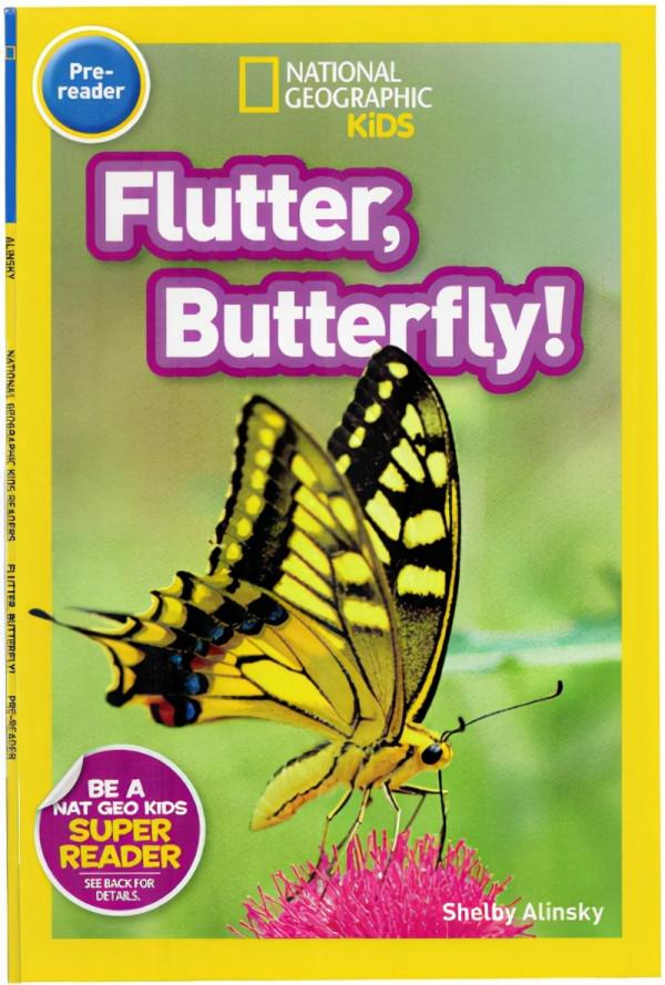 呤呤故事會 | 會飛的“花朵”!見證小蝴蝶的美麗蛻變 呤呤故事會 | 會飛的“花朵”!見證小蝴蝶的美麗蛻變