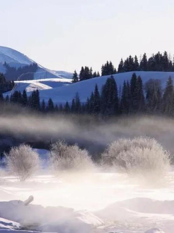 這個冬天，至少要去那拉提一次