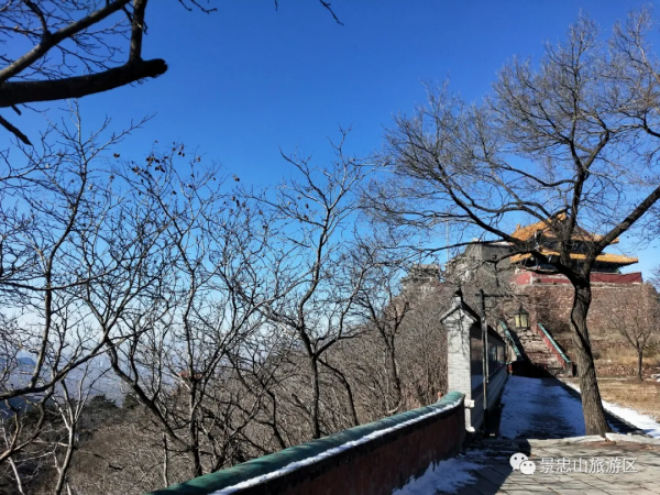 趕著年尾出遊，在歲末登景忠山！