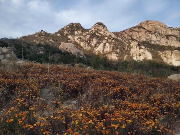 北京後花園遊玩、爬山一日遊 北京後花園遊玩、爬山一日遊