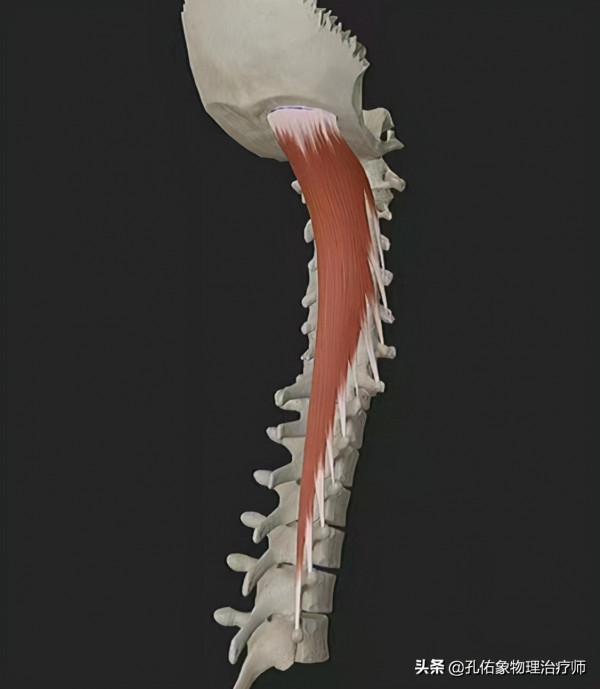 轉動脖子的時候咔咔響，是好還是壞？經常按摩的人，需要注意啥