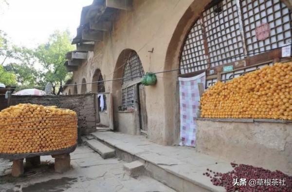 知青往事：當年發誓紮根陝北一輩子，為了夢想他背叛了諾言