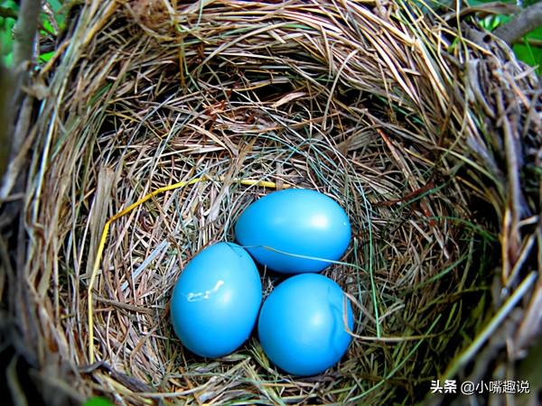 娛樂圈5大遺傳奇蹟！父母顏值逆天、孩子卻“歪瓜爛棗”，想不通