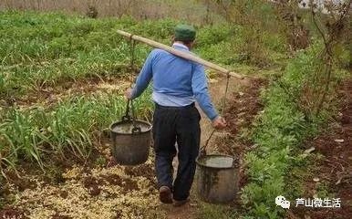 春節版蘆山話欣賞，看得懂的笑安逸