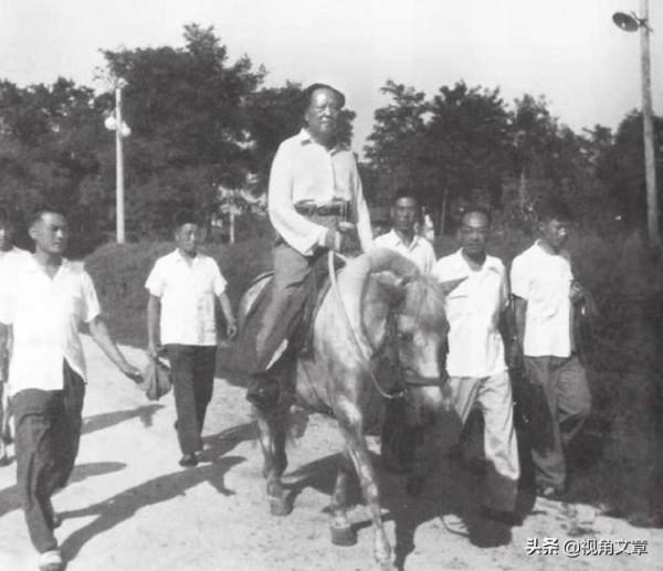 視角文章｜毛主席讓馬伕騎老青馬行軍