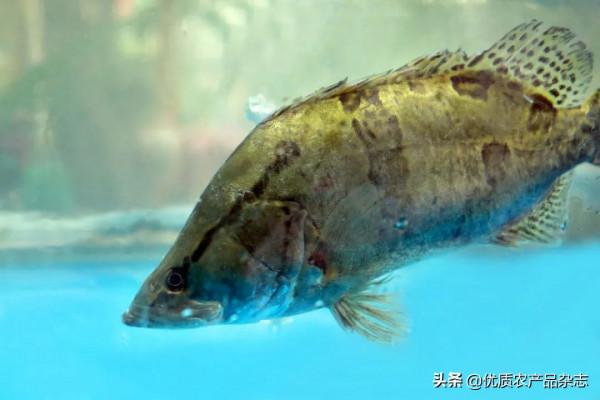 為了讓我們吃好,你知道他們有多努力嗎? 為了讓我們吃好,你知道他們有多努力嗎?