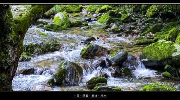 終南山牛背梁:靜謐的羚牛谷,溪、潭、瀑、橋可能並不是它的全部 終南山牛背梁:靜謐的羚牛谷,溪、潭、瀑、橋可能並不是它的全部