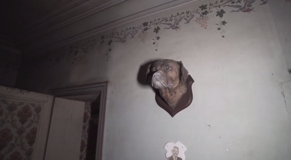 愛狗夫人留下的豪宅，廢棄了20多年，屋內留著狗標本