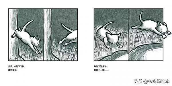 貓咪主題繪本推薦｜和孩子一同開啟喵星人的世界