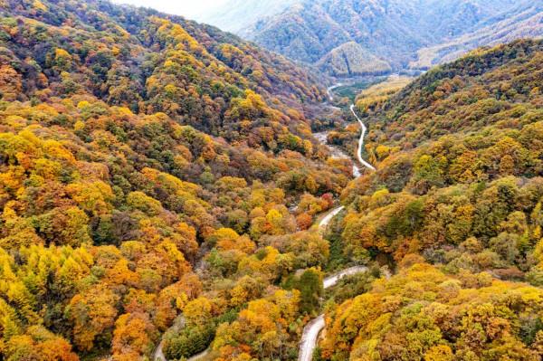 秘境南壩溝——四川光霧山 秘境南壩溝——四川光霧山