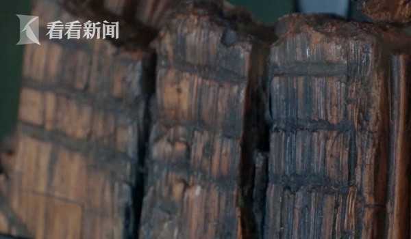 11500年前的全世界最古老圖騰 看看它像啥？