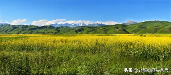 借你一雙識人的慧眼