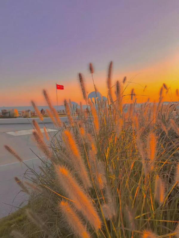 “寧可不識字，不可不識人”看人準的識人術