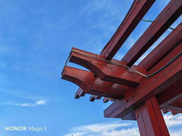 榮耀Magic3鏡頭下的冬日暖陽，大家喜歡嗎？
