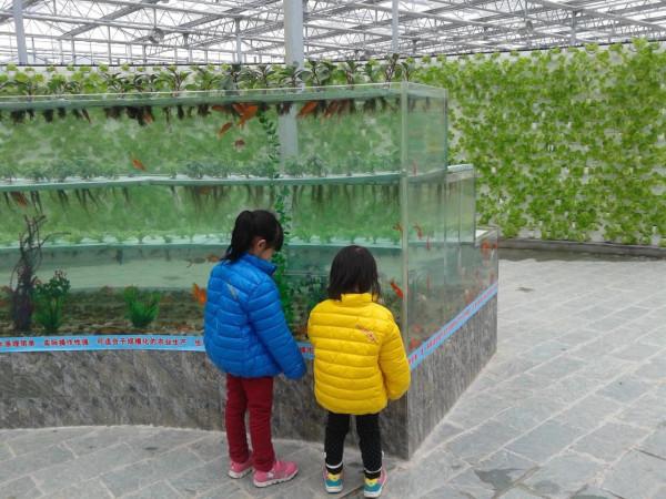 五彩田園，美麗的田園