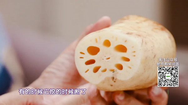 水中的“碧螺春”，滋陰潤肺、護腸通便、提高免疫，咳嗽、疲勞的人要常吃