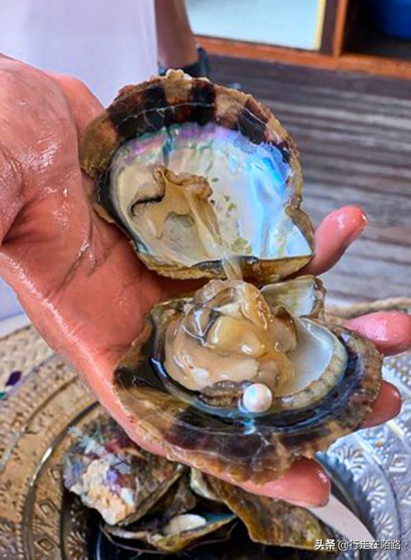 小國大能量：35萬人口擁有1.6萬家外企，加油127元自駕全國