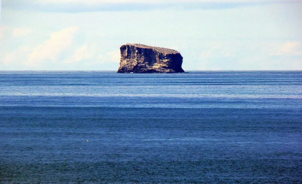 南極的企鵝都是假的!真的已經在北極滅絕了...... 南極的企鵝都是假的!真的已經在北極滅絕了......