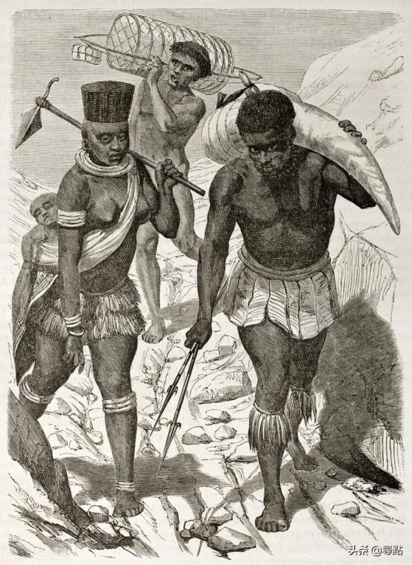 昆塔金特 非洲奴隸貿易的中心島嶼 小國甘比亞揭露了人性 給人以啟示