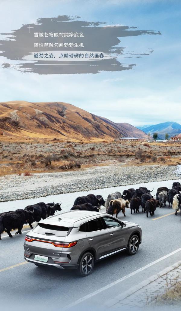 尋跡山海 | 宋PLUS DM-i馭探川西 勁擎山野 尋跡山海 | 宋PLUS DM-i馭探川西 勁擎山野