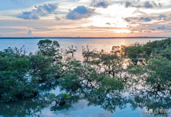 中國最美八大海岸景色