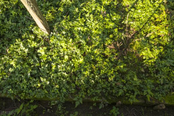 心腎不交、失眠煩躁怎麼辦?教你一招,輕鬆搞定睡眠好 心腎不交、失眠煩躁怎麼辦?教你一招,輕鬆搞定睡眠好