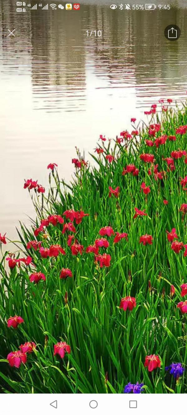 五十八歲大叔因為賭博，毀了一個家庭