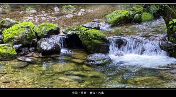 終南山牛背梁:靜謐的羚牛谷,溪、潭、瀑、橋可能並不是它的全部 終南山牛背梁:靜謐的羚牛谷,溪、潭、瀑、橋可能並不是它的全部