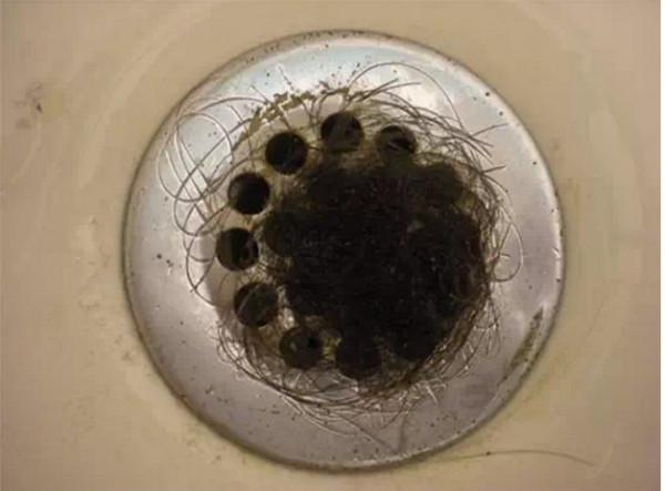 頭髮多久洗一次最合適?每天洗好不好?醫生:這樣洗才科學 頭髮多久洗一次最合適?每天洗好不好?醫生:這樣洗才科學