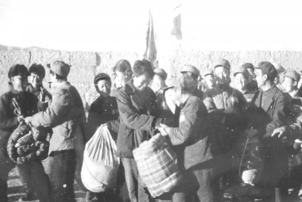 青海1954年的11張照片