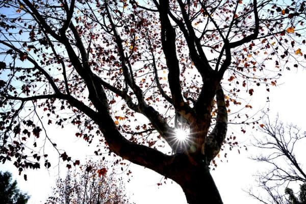 今日冬至，窗外隆冬飛雪，家中熱氣騰騰