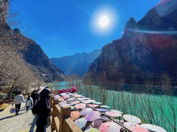 河南旅遊：寶泉冰雪節完美收官，鬱金香踏青賞花節即將開幕