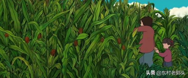 10月,村民種地成本上漲,農藥和化肥價格上漲,怎麼回事? 10月,村民種地成本上漲,農藥和化肥價格上漲,怎麼回事?