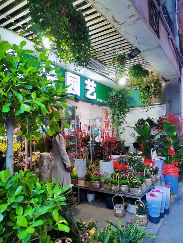 週末逛花市~10元就能買到一週快樂