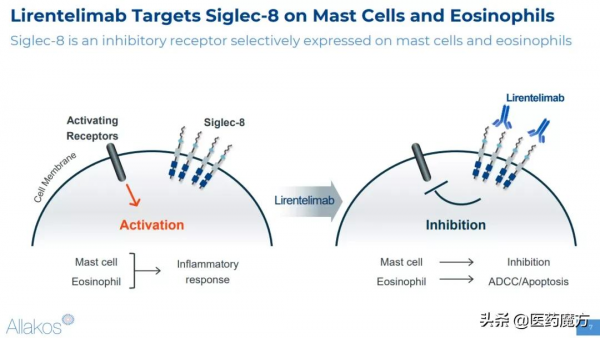 2021年12月 | 失敗臨床研究TOP10 2021年12月 | 失敗臨床研究TOP10