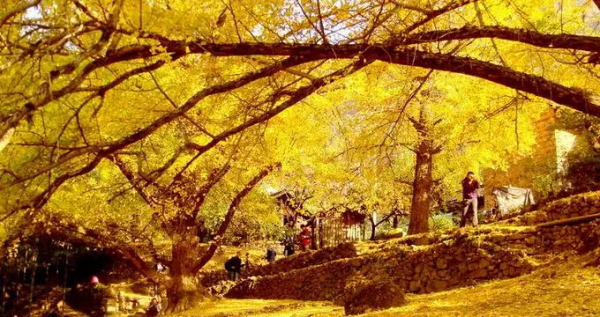 某旅行達人推薦：10個最值得去的旅行地，每一個都值得走一次