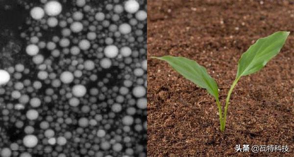 廢棄的粉煤灰如何利用,變為利潤豐厚的投資專案 廢棄的粉煤灰如何利用,變為利潤豐厚的投資專案