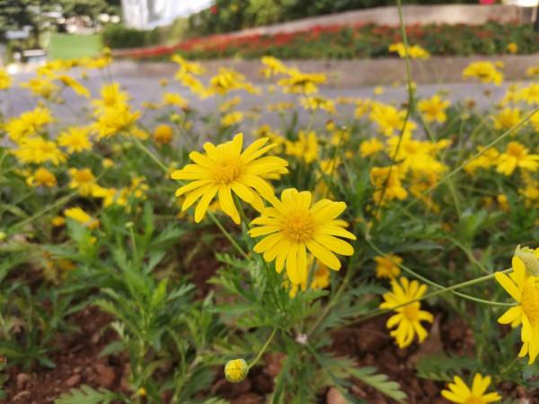 兩種生意勸你“搶著幹”，兩種生意勸你“不要幹”？