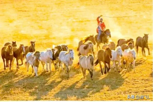 請欣賞—壩上草原風光