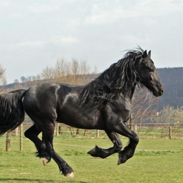 關於秘魯共和國的幾十個冷知識，您知道幾個？最神奇的國家