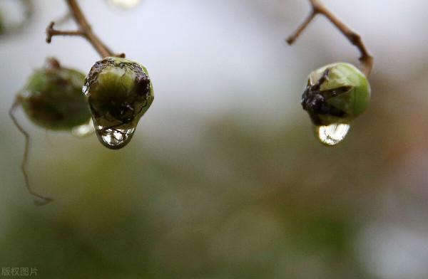 天氣預報:今日秋分,秋分晴天不好嗎?看老祖宗怎麼說 天氣預報:今日秋分,秋分晴天不好嗎?看老祖宗怎麼說