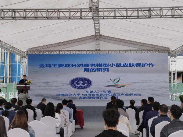 雞樅人工種植成功？野生食用菌產業大會，重新整理你對食用菌的認知