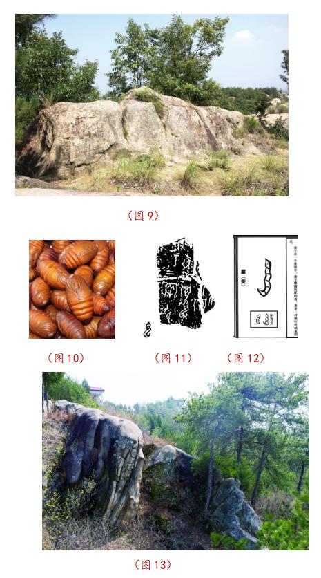 南陽驚現蠶圖騰巖畫 為“伏羲化蠶”再添新證 南陽驚現蠶圖騰巖畫 為“伏羲化蠶”再添新證