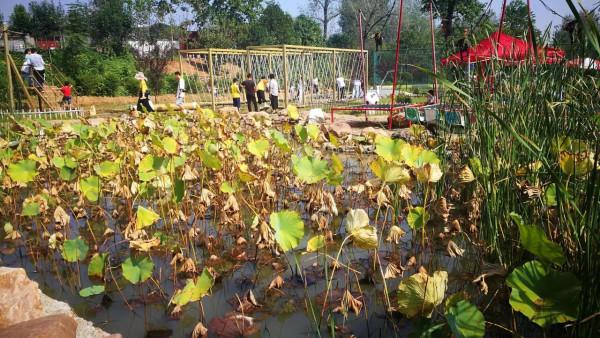 再遊舞鋼樓子溝運動小鎮 再遊舞鋼樓子溝運動小鎮